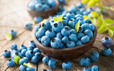 Best Foods for the Anti-Aging Mission